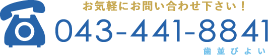 043-441-8841